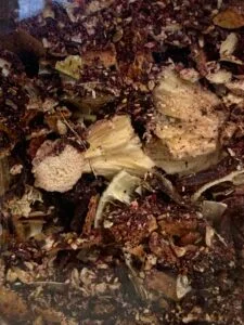Mambo Tropical - Imagen 2